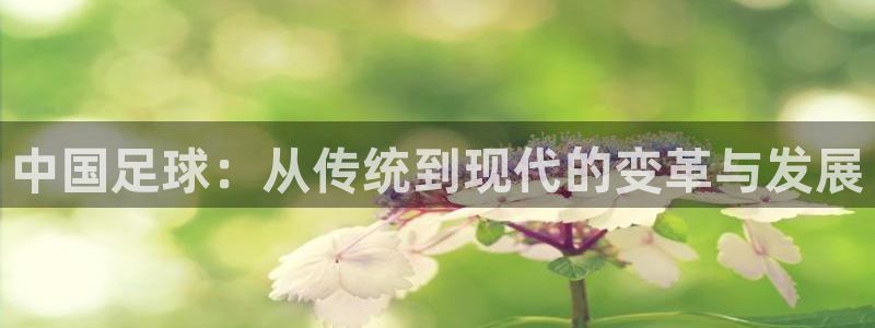 意昂4招商：中国足球：从传统到现代的变革与发展