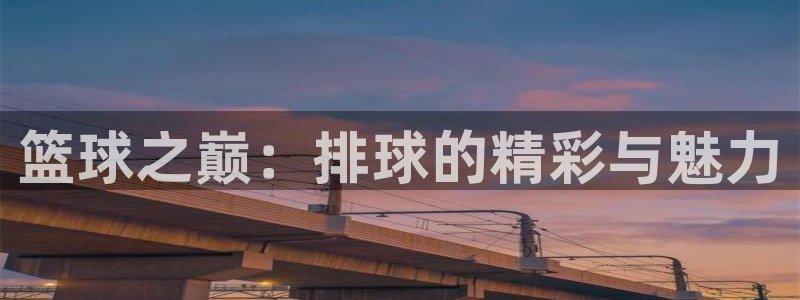意昂4：篮球之巅：排球的精彩与魅力