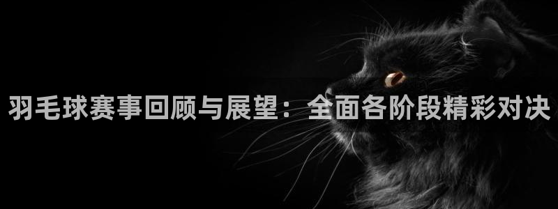 意昂4体育：羽毛球赛事回顾与展望：全面各阶段精彩对决