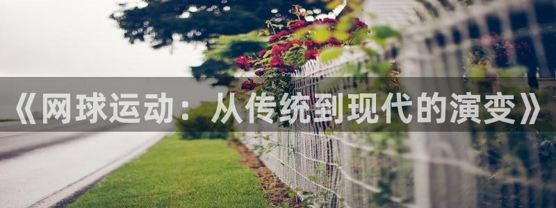 意昂4代理：《网球运动：从传统到现代的演变》