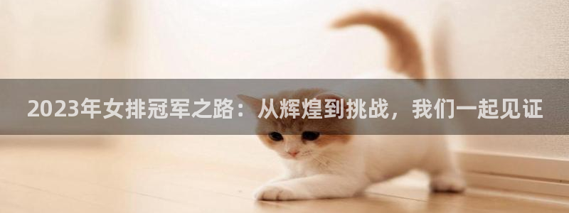 意昂4登录平台：2023年女排冠军之路：从辉煌到挑战，我们一