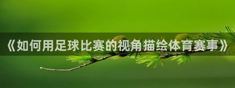 意昂4平台登录：《如何用足球比赛的视角描绘体育赛事》
