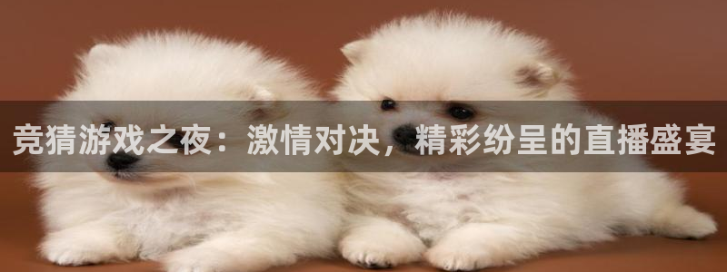 山猫足球免费直播：竞猜游戏之夜：激情对决，精彩纷呈的直播盛宴