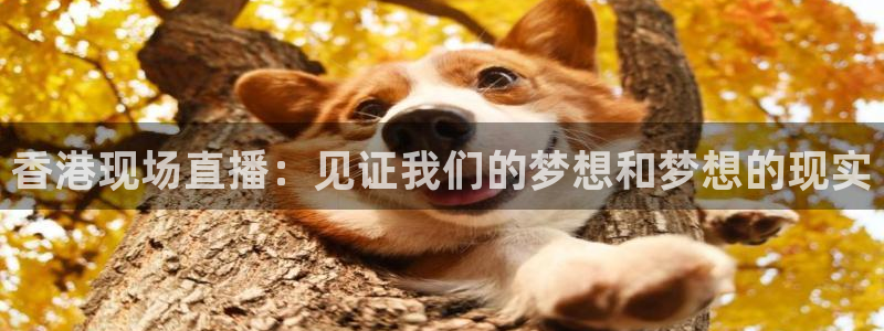 山猫体育nba直播吧：香港现场直播：见证我们的梦想和梦想的现实