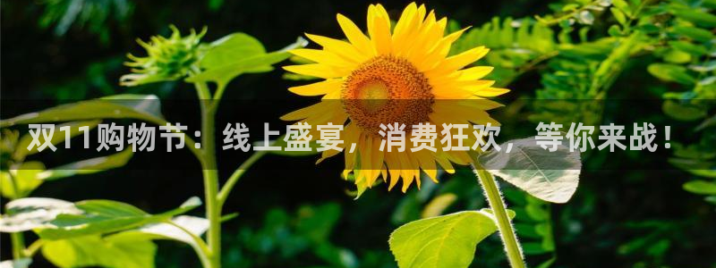 山猫直播足球免费观看高清版：双11购物节：线上盛宴，消费狂欢，等你来战！