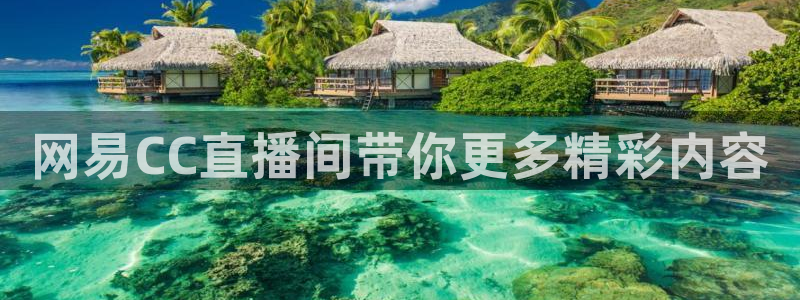 山猫直播在线观看：网易CC直播间带你更多精彩内容