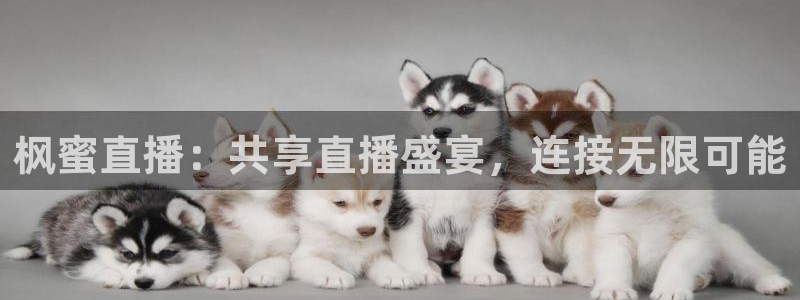 山猫体育赛事：枫蜜直播：共享直播盛宴，连接无限可能