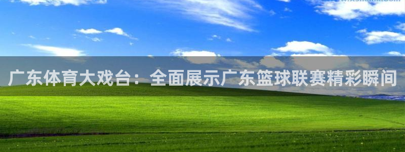 山猫免费直播nba比赛：广东体育大戏台：全面展示广东篮球联赛精彩瞬间
