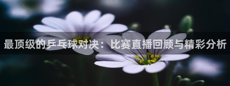 山猫体育免费直播亚冠：最顶级的乒乓球对决：比赛直播回顾与精彩分析