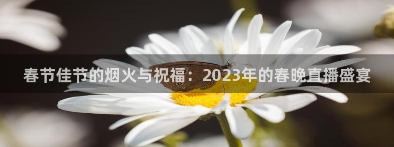 山猫足球直播免费：春节佳节的烟火与祝福：2023年的春晚直播盛宴