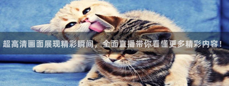 山猫在线体育直播：超高清画面展现精彩瞬间，全面直播带你看懂更多精彩内容！