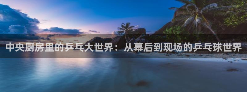 山猫足球免费直播高清视频：中央厨房里的乒乓大世界：从幕后到现场的乒乓球世界
