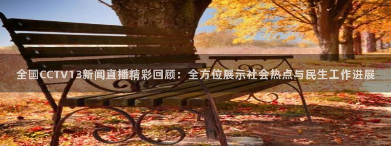 山猫在线体育直播篮球：全国CCTV13新闻直播精彩回顾：全方位展示社会热点与民生工作进展